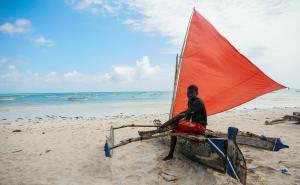 FOTO: AA / Zanzibar, otok začina